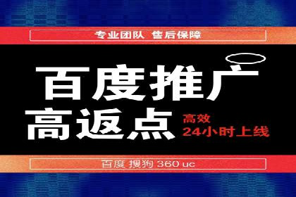 成功案例分享：SEM竞价代运营策略解析